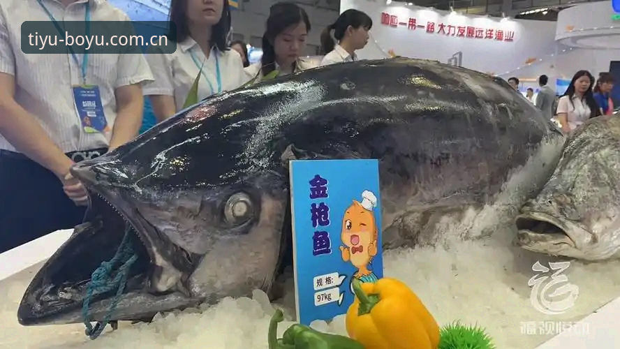 博鱼体育使用教程实用指南——从登录到竞猜的全流程技巧